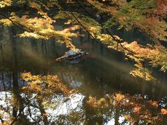 '09紅葉の京都をユク－前編⑤　～天授庵の二つの庭園と紅葉～