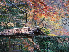 　晩秋の京都　①　　蹴上から哲学の道　　