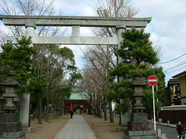 久し振りに市役所を訪ねた折り<br />役所裏手の葛飾八幡宮へ立ち寄りました<br /><br />市川へ越して１２年　初めてお参りした次第です<br />旅を楽しむ一つとして他所の神社・仏閣参りばかりの昨今<br />しっかり手を合わせて拝みました<br /><br />市川市HPより<br />葛飾八幡宮　ご当地の氏神様です　<br />http://www.city.ichikawa.lg.jp/cul01/1421000003.html#03<br /><br />千本公孫樹<br />http://www.city.ichikawa.lg.jp/edu09/1521000005.html<br />