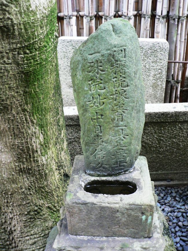 近松 門左衛門（ちかまつ もんざえもん１６５３−１７２５年）は江戸時代・元禄期に活躍した人形浄瑠璃と歌舞伎の作者で中国明代に中国人の父と日本人の母の間に生まれた英雄・鄭 成功（てい せいこう１６２４−１６６２年）を描いた国性爺合戦（こくせんやかっせん）などの時代物と大阪堂島新地天満屋の女郎・はつと内本町醤油商平野屋の手代徳兵衛が梅田・曽根崎の露天神（お初天神）の森で情死した事件を描いた曽根崎心中（そねざきしんじゅう）、飛脚問屋の亀屋の養子忠兵衛と新町の廓の遊女梅川との悲恋物語・冥土の飛脚（めいどの ひきゃく）、紙屋治兵衛と曽根崎新地の遊女小春の心中事件を脚色した心中天網島（しんじゅう てんの あみしま）などの世話物をあわせて１００作品以上を残している。<br />尼崎の近松公園にある廣濟寺（こうさいじ）の境内、本堂脇の墓地には高さ５０ｃｍほどの緑泥片岩の自然石の近松 門左衛門の墓があり『阿耨院穆矣日一具足居士（あのくいんぼくいにちいちぐそくこじ）』と生前、近松が自分でつけた戒名が彫られている。近松門左衛門の墓前にはボタンを押すと自動的に説明が始まる音声ガイドがあり、近松の生涯の説明がとても詳しく解りやすかった。<br />近松公園には近松門左衛門の墓がある廣濟寺と近松の遺品約６０点を展示する近松記念館を中心に小川、池、あずまやが配置される回遊式の日本庭園があり、市民の憩いの場になっている。<br />近松公園は現代も多くの作品が文楽、歌舞伎、オペラ、演劇、映画などで上演上映され多くの人びとに親しまれている日本が誇る劇作家・近松 門左衛門をしのぶことができる場だ。<br />（写真は近松 門左衛門の墓）<br /><br />