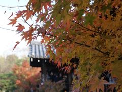 京都の紅葉　東福寺