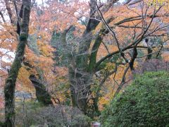 '09秋箱根⑥小涌谷「蓬莱園」の紅葉 in 強羅