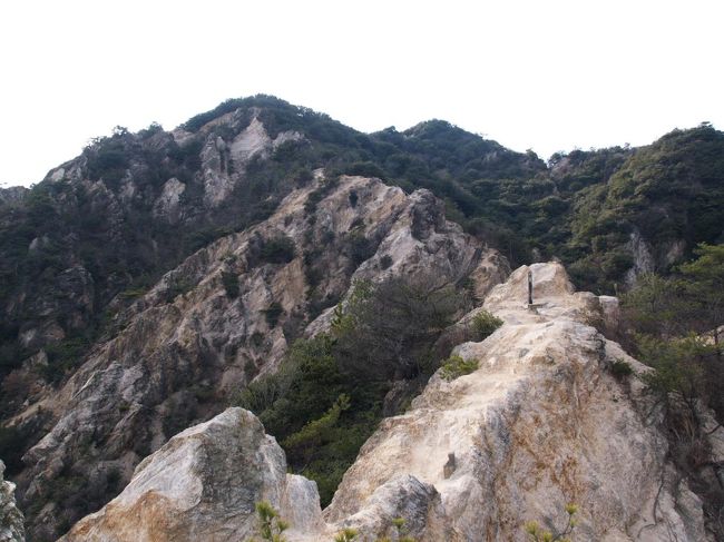 妻の山歩きデビューは山陽電鉄須磨浦公園駅から鉢伏山、横尾山、須磨アルプスを経て神戸市営地下鉄妙法寺駅までの縦走でした。途中の須磨浦山上遊園では梅の花を楽しむことができ、また須磨アルプスでは低山とはいえ楽しい岩場歩きができます。<br /><br />このコースは六甲全山縦走路の最西端となっており、秋には六甲全山縦走大会が開催され、スタート直後ということもあって大渋滞するそうです。<br /><br />横尾山データ：標高３１２．１ｍ（二等三角点、点名：須磨）、関西１００名山<br /><br />登山コース：山陽電鉄須磨浦公園駅〜鉢伏山〜旗振山〜高倉台〜横尾山〜須磨アルプス〜神戸市営地下鉄妙法寺駅　走破時間2時間53分（休憩含む）<br />登山体力度：★★☆☆☆、コース難易度：★★☆☆☆（★が多いほど困難）