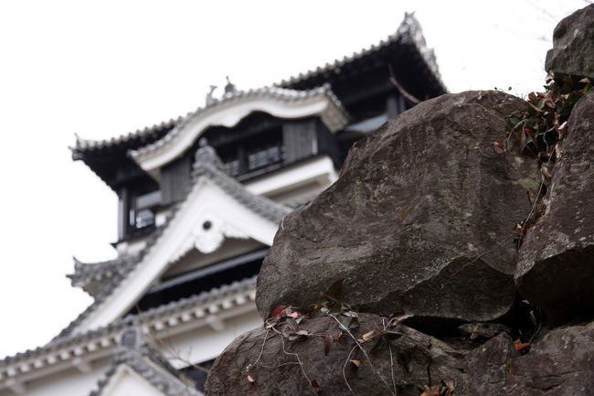 熊本と言えばやっぱ熊本城でしょう