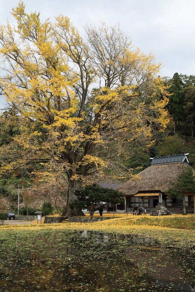 帝釈峡周辺の紅葉巡り