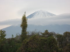 11月の連休、静岡へ