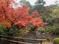 京都めぐり・2009秋（その２）★金地院・南禅院≪紅葉真っ盛りの頃に…≫