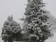 ひとり旅 ［660] カメラを持って雪景色の中をドライブ①＜雪景色編＞広島県三次市