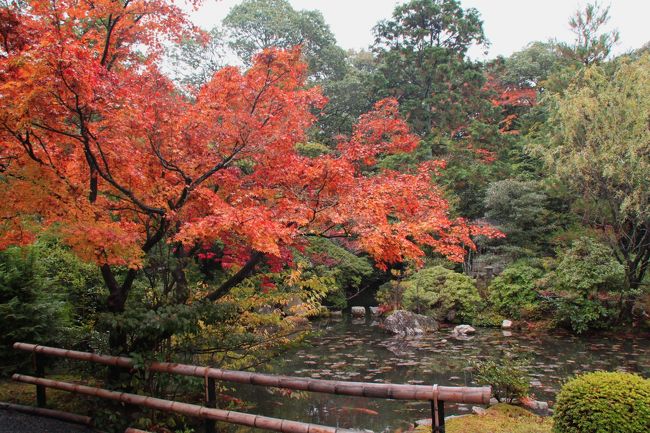 11月の３連休の最終日。京都に出かける用事ができたので、そのついでに空いた午前中に紅葉が真っ盛りの寺院に立ち寄ることに…。<br />この日は少し天気はぐずついていましたが、せっかくの機会なのでこれまでに訪れたことのない南禅寺の方丈と塔頭、そして洛北の紅葉の名刹・圓光寺を訪ねました。<br />