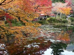 日本の旅　関西を歩く　京都市の大原野神社周辺の紅葉
