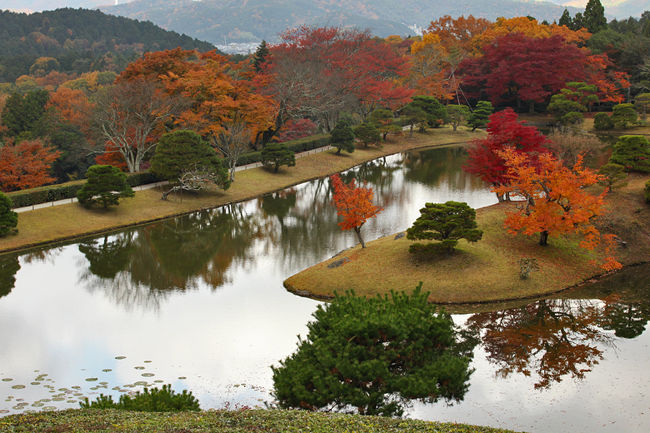 錦秋の京、彩り纏う寺社を巡りて。。（4）　修学院離宮の紅葉　　/京都市　洛北<br /><br />修学院離宮（しゅうがくいんりきゅう）<br /><br />仁和寺のあと、修学院離宮を訪れました。<br />（タイトル表記の寺社ではありませんが。。）<br /><br />修学院離宮は事前申し込みが必要。<br />紅葉の時期に見学できることは運が良かったのだと思います。<br /><br />比叡山の裾野に広がる広大な敷地。<br />そこに上・中・下の離宮があります。<br />実際の見学時間は２時間程度。<br />３ｋｍくらいは歩きます。階段、坂道もありますので<br />歩きやすい靴をお勧めします。<br /><br />一番上、一番最後に訪れる上離宮は浴龍池と呼ばれる<br />巨大な池を見下ろします。<br />池を中心とした回遊式の大庭園の周りの紅葉が<br />池に自らの姿を映し、見る者の心を癒してくれました。<br /><br /><br />修学院離宮ＨＰ→ http://sankan.kunaicho.go.jp/guide/shugakuin.html<br /><br /><br />■修学院離宮 概況<br /><br />比叡山の麓、東山連峰の山裾に造られた修学院離宮は、<br />上・中・下の三つの離宮（御茶屋）からなり、<br />上離宮背後の山、借景となる山林、<br />それに三つの離宮を連絡する松並木の道と、<br />両側に広がる田畑とで構成されている。<br /><br />総面積54万5千㎡を超える雄大な離宮である。<br />明治期に宮内省の所管となるまでは、<br />離宮を囲む垣根も全周にはなく、<br />自然に対して開放された山荘であった。<br />　　　　　　　　　　　　　　　　　　　　　　<br />下離宮には、創建時では最大の建物の<br />彎曲閣（わんきょくかく）があったが、<br />比較的早い時期に失われ、<br />今は南を庭園に囲まれた<br />寿月観（じゅげつかん）が残っている。<br /><br />中離宮には、楽只軒（らくしけん）と客殿があり、<br />やはり南に庭がある。<br /><br />上離宮は、修学院離宮の本領であって、<br />谷川をせき止め浴龍池（よくりゅうち）と<br />呼ぶ大きな池を中心にすえた、<br />回遊式庭園となっている。<br /><br />その浴龍池を一望におさめる、<br />東南の高みには隣雲亭（りんうんてい）、<br />中島に窮遽亭（きゅうすいてい）がある。<br /><br />山麓に広がる離宮のため、<br />上と下の離宮の標高差は40m近くあり、<br />大小の滝に加え水流の早い小川もあり、<br />どこにいても絶えず水の音を聴くことができる。<br /><br />昔は畦道（あぜみち）にすぎなかった、<br />松並木から眺める風景も、またすばらしい。<br /><br /><br />京都御所、京都大宮御所、仙洞（せんどう）御所、<br />桂離宮とともに皇室用財産（国有財産）として<br />宮内庁が管理している。<br /><br />修学院離宮 　案内しおりより　<br /><br />■修学院離宮の歴史<br /><br />修学院の名は、10世紀後半ここに修学院という寺が<br />建立されたのが始まりであった。<br />南北朝時代以後この寺は廃絶したが、<br />地名は修学院村として残った。<br /><br />修学院離宮は、桂離宮におくれること30余年、<br />明暦元(1655)年から2(1656年）にかけて<br />後水尾上皇（ごみずのおじょうこう)によって<br />造営工事が起こされ、万治（まんじ）28(1659）年に<br />完成した山荘である。<br /><br />離宮の造営より早く 上皇の第一皇女梅宮(うめのみや）が<br />得度（とくど）して、現在の中離宮（なかりきゅう）付近の<br />円照寺（えんしょうじ）に草庵を結ばれていたが、<br />早くから別荘としての適地を探しておられた上皇は<br />円照寺を大和の八嶋に移し、<br />上と下の二つからなる御茶屋を建設した。<br /><br />幕府との間に緊張が続いた時代であっただけに、<br />短期間にこれほど大規模な<br />山荘を造営し得たことは一つの驚異でもある。<br /><br />中のお茶屋は建設当時の山荘にはなかったものではあるが、<br />上皇の大八皇女光子内親王（朱宮（あけのみや））の為に<br />建てられた朱宮御所に東福門院（とうふくもんいん）<br />　（後水尾上皇の皇后、将軍徳川秀忠（ひでただ）の娘和子（かずこ））<br />亡き後の女院御所の建物を一部移築して拡張した。<br /><br />上皇崩御の後、光子内親王は落飾得度（らくしょくとくど）して、<br />これを林丘寺となされた。<br /><br />明治１８年（1885年）林丘寺門跡（もんぜき）から境内の半分が<br />楽只軒、客殿ともに宮内省に返還されたので、<br />離宮に編入したものである。<br /><br />昭和39年(1964年）上・中・下の各離宮の間に<br />８万㎡に及ぶ水田畑地を買い上げて付属農地とし、<br />景観保持の備えにも万全を期して今日に至っている。<br /><br />修学院離宮 　案内しおりより　<br /><br />----------------<br /><br />所在地等<br /><br />修学院離宮：　京都府京都市左京区修学院藪添<br />　　　　　　　宮内庁京都事務所参観係　℡　075-211-1215<br /><br />拝観：　許可制で　事前申し込みが必要です　<br />　申込方法（ＨＰ）<br />　　http://sankan.kunaicho.go.jp/about/rikyu.html<br /><br />拝観時間：　指定され　総門に指定時間の10分前に到着　見学所要 約1時間20分<br /><br />参観休止日：　宮内庁京都事務所参観係に　問い合わせください<br /><br />拝観料：　拝観無料<br /><br />アクセス：　叡山電鉄修学院駅　→徒歩20分<br />　　　　　　JR京都駅前　市バス　5系統で約44分　修学院離宮道下車　→徒歩15分<br />