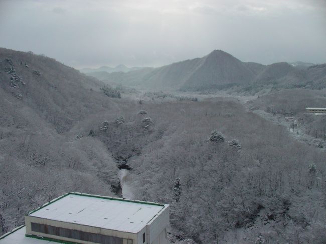 八戸を出発し仙台郊外の作並温泉に行きました。翌日は雪で真っ白。仙台市内の青葉城からの景色も見てきました。