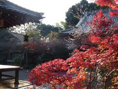 赤山禅院（京都市左京区）◆京都で紅葉三昧の一日【その１】