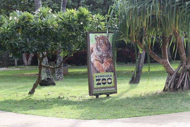 オアフ島で観光 バードウォッチング 09 5 ホノルル動物園編 ホノルル ハワイ の旅行記 ブログ By 潮来メジロさん フォートラベル