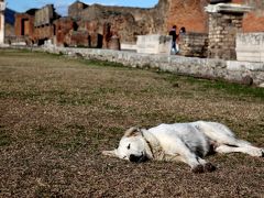 すっかりイタリアに魅了されちまった８日間≪９≫ポンペイ遺跡