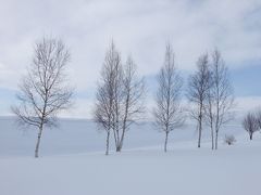 美瑛で雪中行軍！　～美瑛・旭川旅行　一日目①～