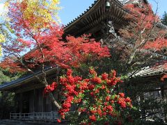 晩秋の萩　２００９～東光寺・大照院～