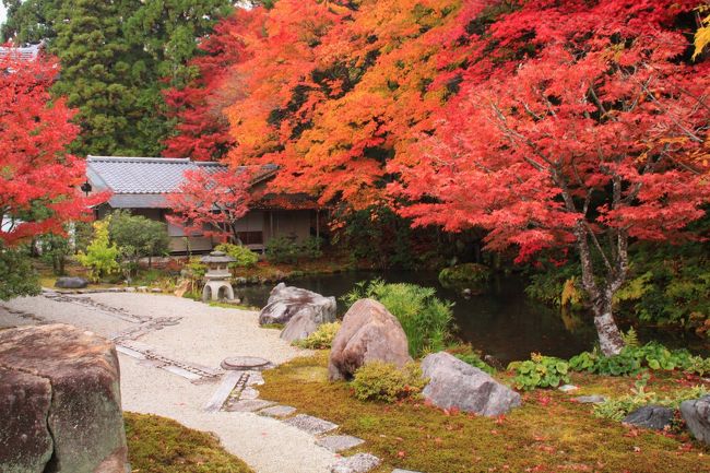 11月の３連休の最終日。京都に出かける用事ができたので、そのついでに午前中に紅葉が真っ盛りの寺院に立ち寄ることに…。<br />この日は少し天気はぐずついていましたが、せっかくなのでこれまでに訪れたことのない南禅寺の方丈と塔頭、そして洛北の紅葉の名刹・圓光寺に行きました。<br />