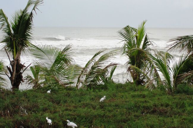 2009冬、ベトナム旅行記3(17/36)：12月20日(2)：ホイアンからフエへ、途中の休憩所、南シナ海