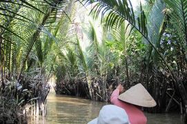 2009冬、ベトナム旅行記3(30/36)：12月21日(4)：ミト―川クルージング、ビンロウ椰子、地鶏、椰子林