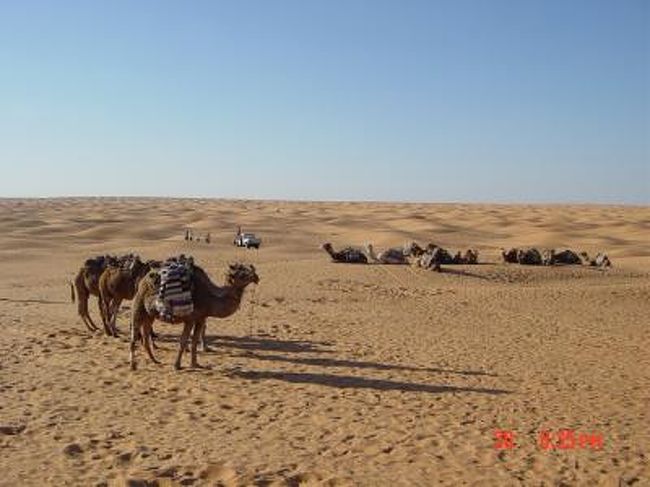 2007年5月30日(水)　ﾄﾞｩｰｽﾞ→ｻﾌﾞﾘｱ→ｸｻｰﾙｷﾞﾚﾝ<br /><br />今日は楽しみのｷｬﾒﾙ･ﾗｲﾃﾞｨﾝｸﾞの日。ｸｻｰﾙｷﾞﾚﾝまで砂漠を突っ切る。途中、内蔵の位置が入れ替わる〜ってくらいのﾃﾞｺﾎﾞｺ道を走り、ﾊﾟﾝｼｱﾎﾃﾙ到着。<br />一息ついて、さぁ、ｷｬﾒﾙﾗｲﾃﾞｨﾝｸﾞの準備、準備。頭と首にｽｶｰﾌ、紫外線と砂除けｻﾝｸﾞﾗｽ、仕上げはﾏｽｸと手袋と完璧防砂ｽﾀｲﾙ出来上がり♪　その姿を見たﾄﾞﾗｲﾊﾞｰがちょっと「ｸｽｯ！」ってなってたのは気にしないわ！ﾗｸﾀﾞ乗り場(?)に行くと、うひょ〜、いるいるﾗｸﾀﾞちゃん達、お待たせ〜。<br />彼らは私を背に乗せ砂の世界へと誘います。<br />はぁ〜、美しいです。ﾗｸﾀﾞ上から眺める果てしないｻﾊﾗ砂漠の砂紋は美しく、砂粒が風に乗って模様を変えていきます。太陽の輝きが、砂漠のｽｸﾘｰﾝにﾗｸﾀﾞと人々の影の物語を上映する。「あぁ、この瞬間の写真が撮りたかった」とｶﾒﾗを構える。<br />砂紋の美しさに見とれながら１時間後、夕陽観賞場所に到着。砂漠の砂をボォ〜ｯと眺めているとひょこひょこと動くものが。目の錯覚かと思ってさらに近くで見てみると、小さな虫が跳ねて遊んでました。美しいけど住みにくい土地、だけど、君達には居心地いいんだね。。。楽しそう♪<br />砂漠に沈む太陽に別れを告げ、再びﾗｸﾀﾞに乗って太陽の光と交代に月の光に照らされた砂紋の上をゆっくりと帰りました。<br />