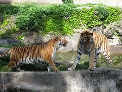 天王寺動物園