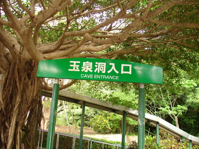 昨年末に息子家族と共に沖縄の地を訪れました。その際、前から行きたかった玉泉洞を訪問いたしました。