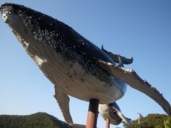 太地くじらと勝浦まぐろ