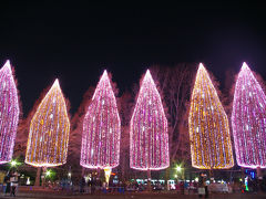 元淵江公園　～ 光の祭典 2009 ～