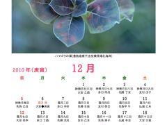 豊島の風光カレンダー２０１０