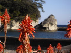 伊豆下田の年末年始