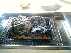 伊勢神宮初詣と白い橋で牡蠣定食