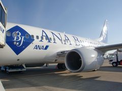 ANA　Business Jet インド　ムンバイ
