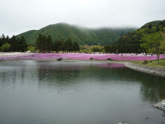 富士の芝桜を見に山中湖のペンション1泊　ついでに花の都公園・西湖いやしの里などをまわってきた