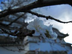 山陰山陽くるっと１周　後編