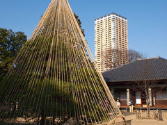 今年は谷中七福神巡り（２） 平成22年1月4日           Yanaka, Tokyo 