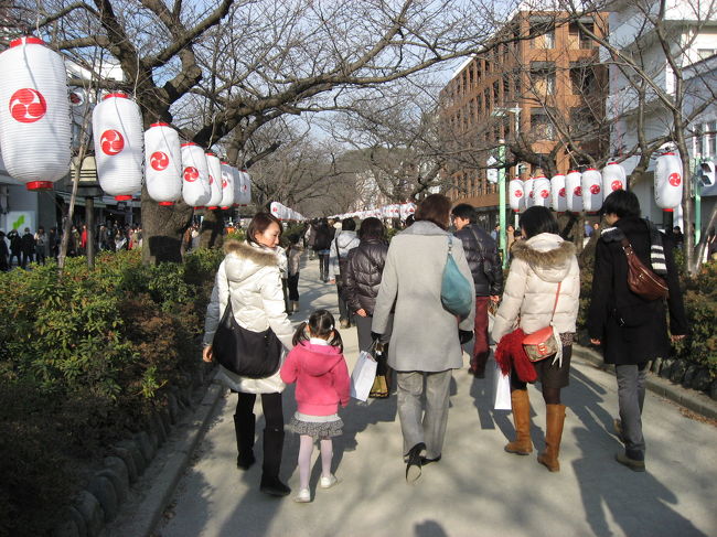 近場の鎌倉・鶴岡八幡宮へ恒例とは云いませんが、正月3日の混雑を承知で<br />初詣へと出掛けました。<br />今年も日本の経済不況は継続でしょうから！！私たちも他力本願、神頼みと<br />参拝客のひと、ひと、人に紛れてお参りして来ました。