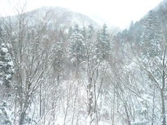 秋田新幹線の雪景色