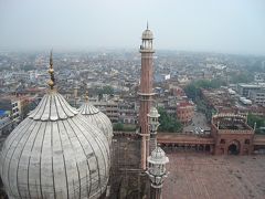 インド北部・雨季の旅①～デリー.Ⅰ～