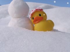 初笑い　雪あそび　in  木曽福島