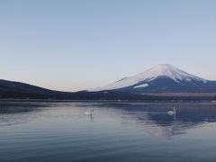 白鳥の湖