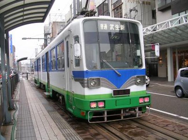 日本全国の特徴ある駅を巡るのが趣味といえば趣味の私ですが、<br /><br />今回は、2009年に訪れた福井鉄道の「福井新」「武生新」をご紹介します。<br /><br /><br />★「今は亡き」シリーズ<br /><br />元祖トロッコ列車「清涼しまんと号」(高知)　　<br />http://4travel.jp/travelogue/10578328<br />変な駅名「福井鉄道 福井新＆武生新」(福井)<br />http://4travel.jp/traveler/satorumo/album/10416028/<br />寝台列車「北陸」（石川)<br />http://4travel.jp/traveler/satorumo/album/10425377/<br />日本一長い駅名「ルイス・C.ティファニー庭園美術館駅」（島根)<br />http://4travel.jp/traveler/satorumo/album/10520280/<br />大分ホーバークラフト（大分)<br />http://4travel.jp/traveler/satorumo/album/10521685/<br />チンチンバス(京都)<br />http://4travel.jp/traveler/satorumo/album/10528694/<br />島原鉄道「観光トロッコ列車」（長崎)<br />http://4travel.jp/traveler/satorumo/album/10534130<br />ＪＲ九州「あそ1962」（熊本)<br />http://4travel.jp/traveler/satorumo/album/10521975/<br />ＪＲ九州「ゆふＤＸ」（大分)<br />http://4travel.jp/traveler/satorumo/album/10557938/<br />グリュック王国（北海道)<br />http://4travel.jp/traveler/satorumo/album/10568982<br />カナディアンワールド（北海道)<br />http://4travel.jp/travelogue/10569427<br />ファンタジードーム(北海道)<br />http://4travel.jp/travelogue/10569782<br />ルネスかなざわ（石川)<br />http://4travel.jp/traveler/satorumo/album/10578273/<br />アリバシティ神戸（兵庫)<br />http://4travel.jp/traveler/satorumo/album/10595994/<br />長良川鉄道トロッコ列車（岐阜)<br />http://4travel.jp/traveler/satorumo/album/10620569/<br />ウエスタン村(栃木)<br />http://4travel.jp/traveler/satorumo/album/10578347/<br />倉敷チボリ公園(岡山)<br />http://4travel.jp/traveler/satorumo/album/10627690<br />「グランドひかり」の食堂車<br />http://4travel.jp/traveler/satorumo/album/10637317/<br />リーガアクアガーデン＆レオマワールド（愛媛＆香川)<br />http://4travel.jp/traveler/satorumo/album/10658665/<br />利尻・お座敷車＆サロベツトロッコ号（北海道)<br />http://4travel.jp/travelogue/10583272<br />TORO-Q列車（大分)<br />http://4travel.jp/traveler/satorumo/album/10644889/<br />きのくにシーサイド（和歌山）<br />http://4travel.jp/traveler/satorumo/album/10667160/<br />天竜浜名湖鉄道「トロッコそよかぜ」(静岡）<br />http://4travel.jp/travelogue/10671012<br />原生花園スタンディングトレイン（北海道)<br />http://4travel.jp/travelogue/10534497<br />シーボルト号＆九州グリーン豪遊券（長崎)<br />http://4travel.jp/travelogue/10587841<br />瀬戸内おさんぽ号＆下関ふくフク号（広島＆山口)<br />http://4travel.jp/travelogue/10560785<br />赤川仮橋(大阪）<br />http://4travel.jp/travelogue/10465150<br />新緑山寺御開帳号（宮城＆山形）<br />http://4travel.jp/traveler/satorumo/album/10783633/<br />ＪＲ北海道「ＤＭＶ（デュアル・モード・ビークル）」(北海道)<br />http://4travel.jp/travelogue/10462428　　　<br />JR東日本「レトロ奥久慈号」(茨城)<br />http://4travel.jp/travelogue/10521494<br />JR東日本「いわて・平泉文化遺産号」(岩手)　<br />http://4travel.jp/travelogue/10590418<br />珈琲園ぶらじる(東京)<br />http://4travel.jp/travelogue/10683513<br />JR西日本「トワイライトエクスプレス」(北海道＆新潟)<br />http://4travel.jp/travelogue/10982824<br />JR東日本&amp;北海道「北斗星」<br />http://4travel.jp/travelogue/10431439<br />JR東海「そよ風トレイン１１７」(愛知＆静岡)<br />http://4travel.jp/travelogue/10492138<br />あくねツーリングSTAYtion(鹿児島)<br />http://4travel.jp/travelogue/10827924<br />PPAP CAFE　(東京)<br />http://4travel.jp/travelogue/11200572<br />