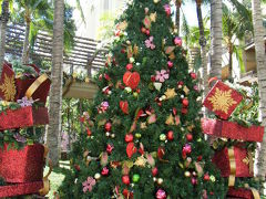 ２０１０年ハワイ旅行 ２日目