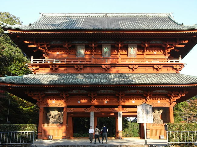 昨日に続いてお天気に恵まれた今回の旅、帰路は龍神スカイラインを走って高野山経由にしました。<br /><br />護摩壇山や高野山は紅葉が見頃でそれはそれは素晴らしかったです（＾０＾）<br /><br /><br />