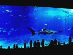 年忘れの旅沖縄　2009.12.25