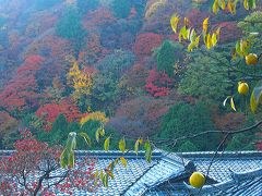 紅葉の古都　京都（西山　吉峯寺）