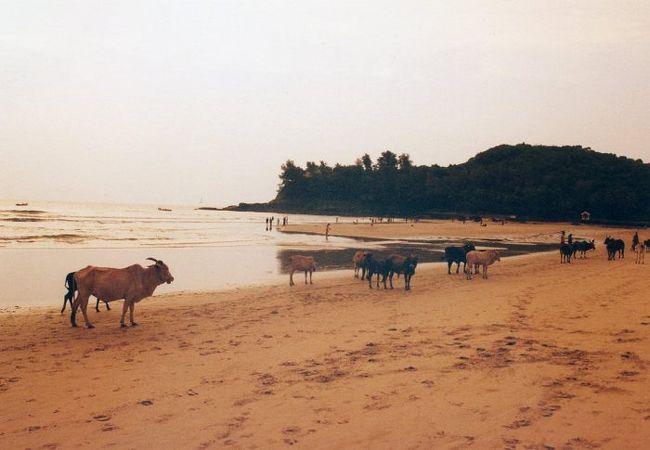 インド最大の商業都市ムンバイ。<br />そして、かつてえのヒッピーの楽園であり、かのフランシスコ・ザビエルが東方布教の拠点とした町、ゴアを訪れました。<br /><br /><br />↓ブログでも紹介しています。<br />http://search-ethnic.com/category/travel/south-asia/india<br />http://search-ethnic.com/category/travel/south-asia/southindia<br /><br /><br />2003年10月、ムンバイとゴアを訪れました。<br />アーマダーバードから列車でムンバイへ。<br />数日滞在した後、列車でゴアへと向かいました。 