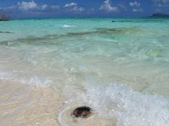 まさに南の島　マニャガハ島でのんびり浜ＢＥＥＲ♪　ｉｎ　Sａｉｐａｎ