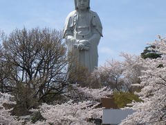 大観音と桜　～高崎～