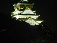 夜の大阪城